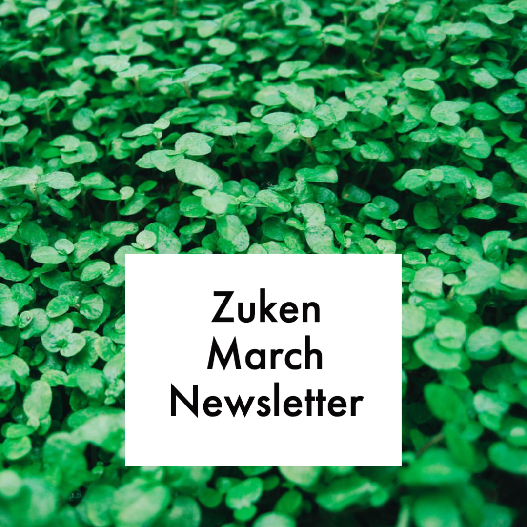 March 20 Newsletter.png